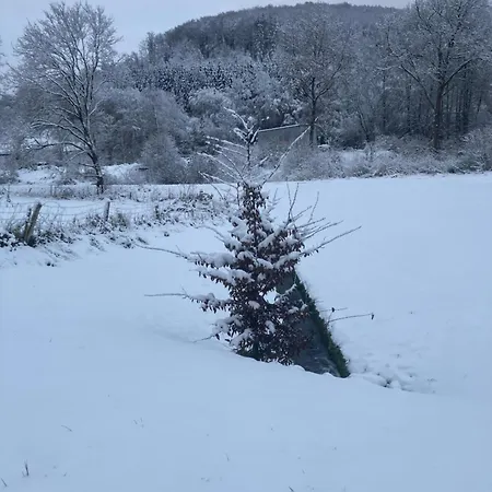 Nest Heiminghausen Apartament *