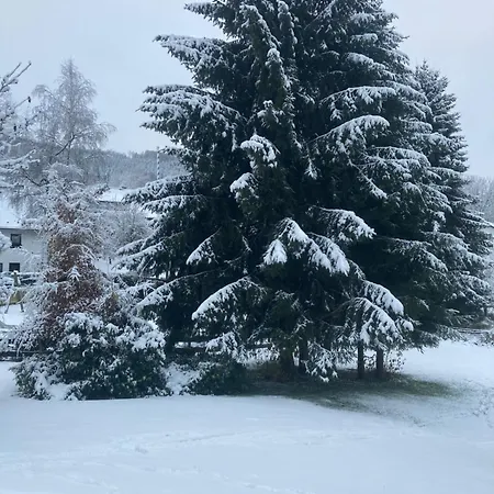 Apartament Nest Heiminghausen