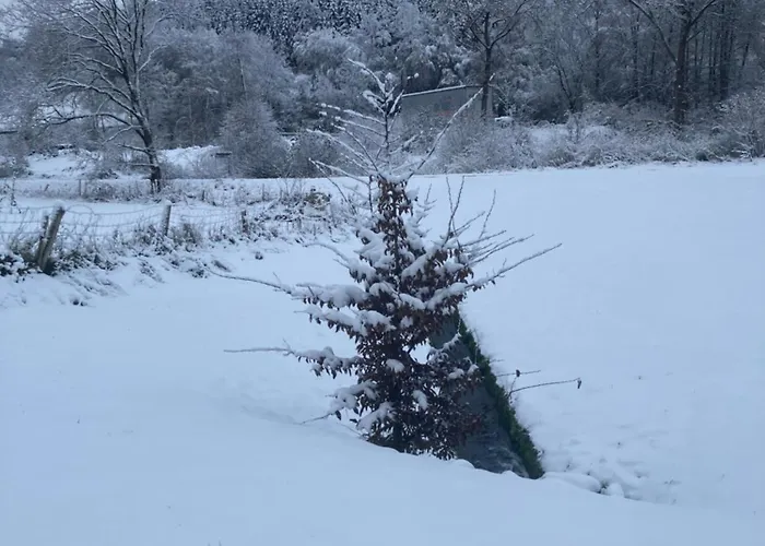 Nest Heiminghausen 公寓 *