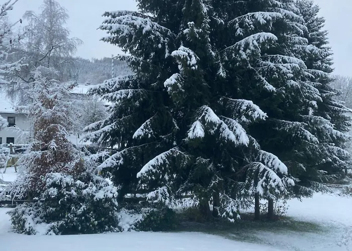 Apartament Nest Heiminghausen